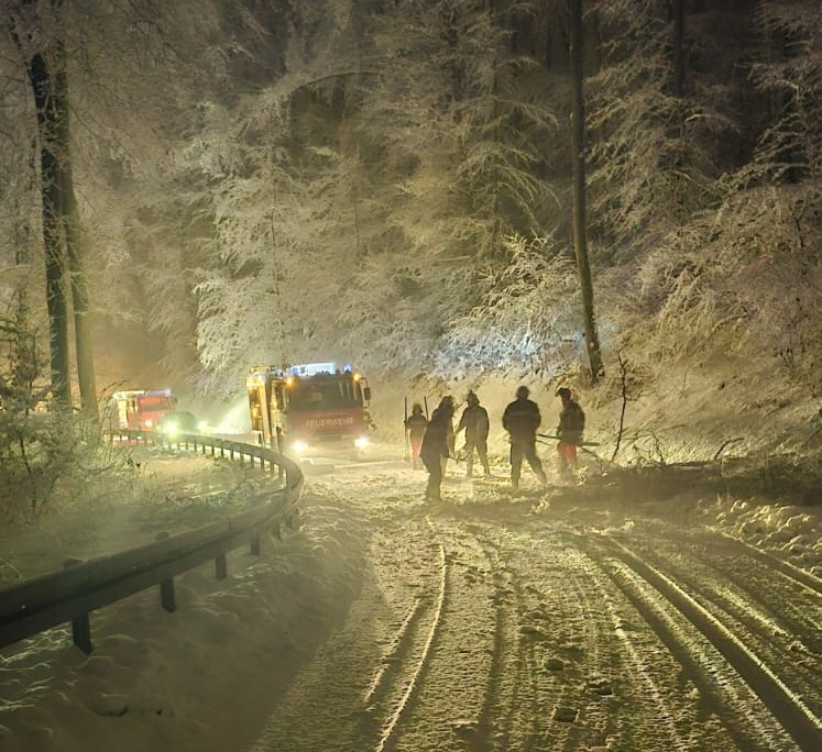 967ebd94 2408 4ee9 b8e3 d353d613e116