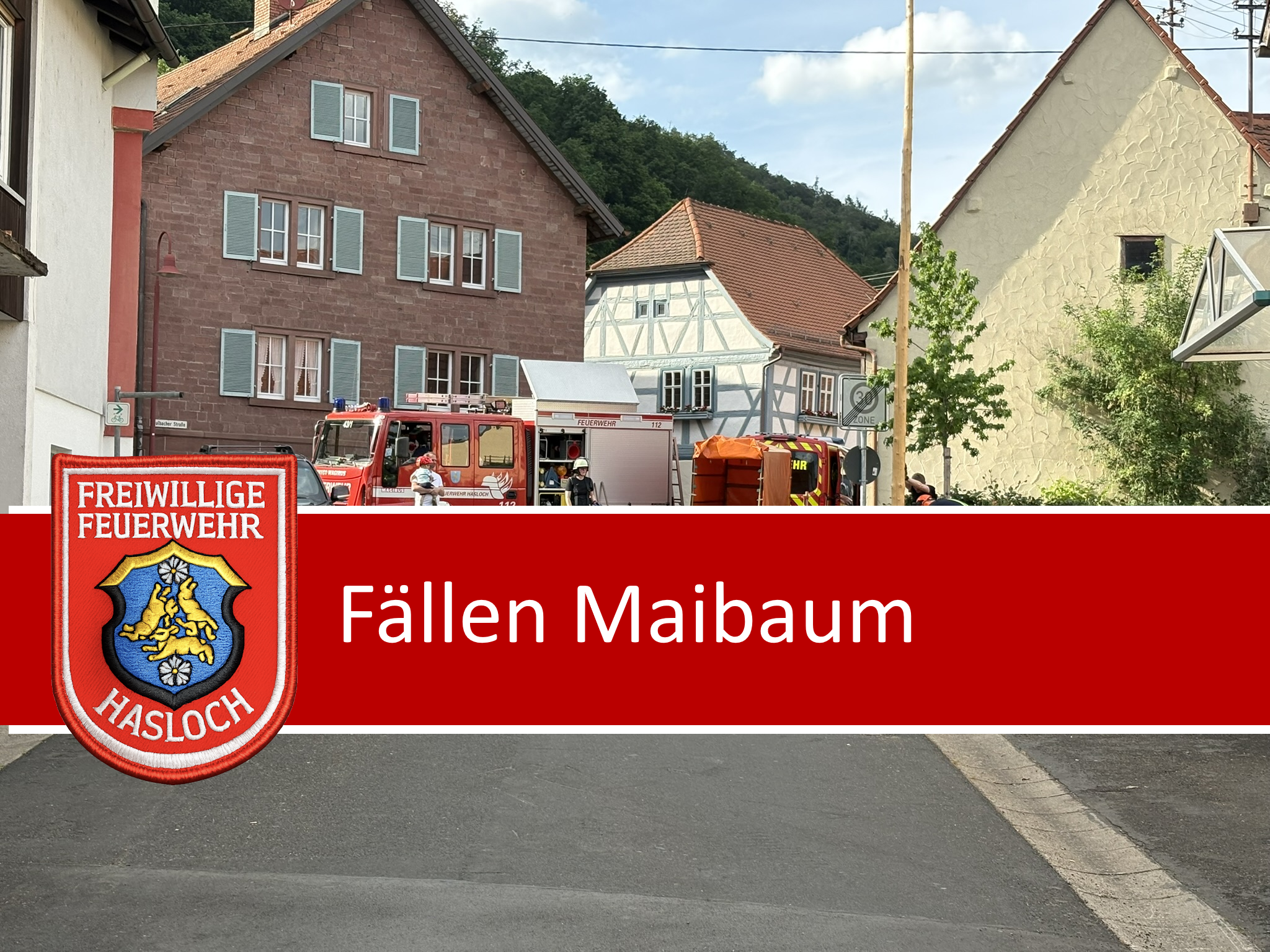 Fällen Maibaum